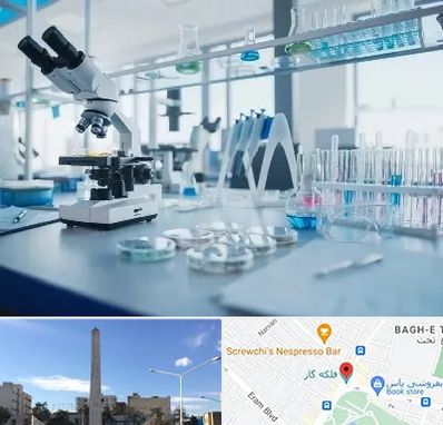 تجهیزات آزمایشگاهی در فلکه گاز شیراز