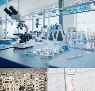 تجهیزات آزمایشگاهی در اسکندری
