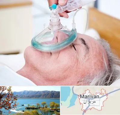 کرایه کپسول اکسیژن در مریوان