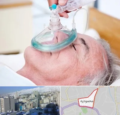 کرایه کپسول اکسیژن در محمودیه