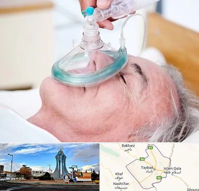 کرایه کپسول اکسیژن در تایباد