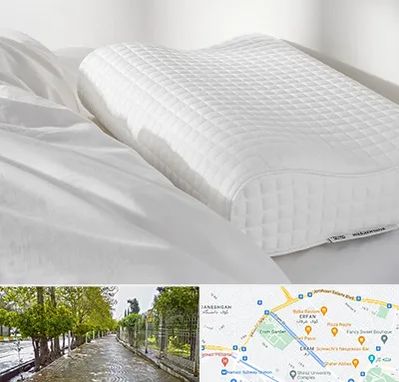 فروش بالش طبی در خیابان ارم شیراز