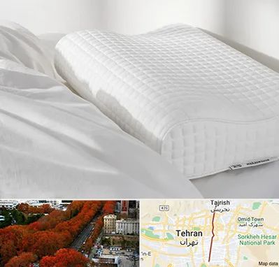 فروش بالش طبی در ولیعصر 