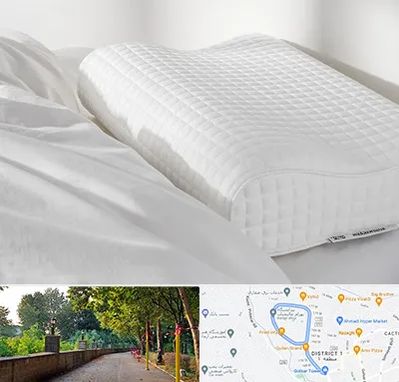 فروش بالش طبی در بلوار گیلان رشت