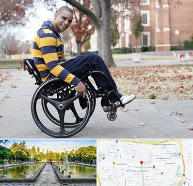 فروش ویلچر در سرسبز 