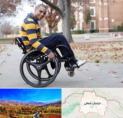 فروش ویلچر در خراسان شمالی