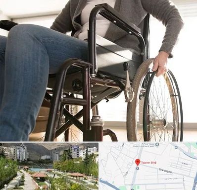 کرایه ویلچر در بلوار تعاون