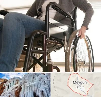 کرایه ویلچر در میگون