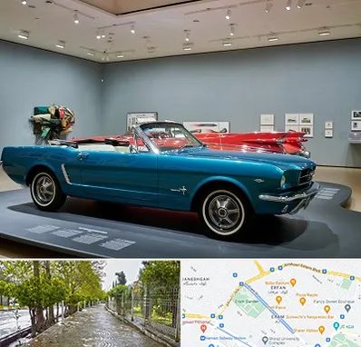 نمایشگاه ماشین در خیابان ارم شیراز