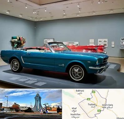 نمایشگاه ماشین در تایباد