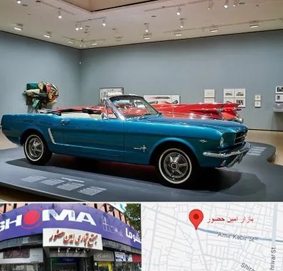 نمایشگاه ماشین در امین حضور