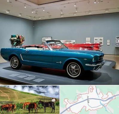 نمایشگاه ماشین در تالش