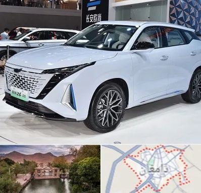نمایشگاه ماشین چینی در دامغان