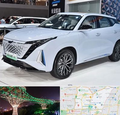 نمایشگاه ماشین چینی در منطقه 3 تهران 