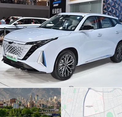نمایشگاه ماشین چینی در جمشیدیه