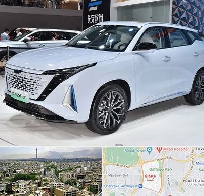 نمایشگاه ماشین چینی در گیشا 