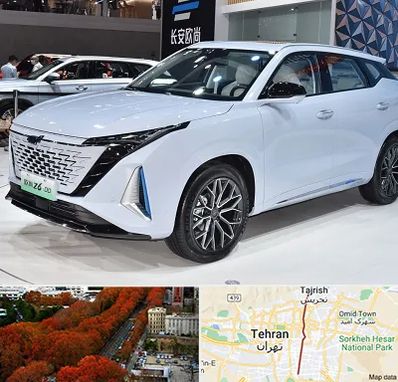 نمایشگاه ماشین چینی در ولیعصر 