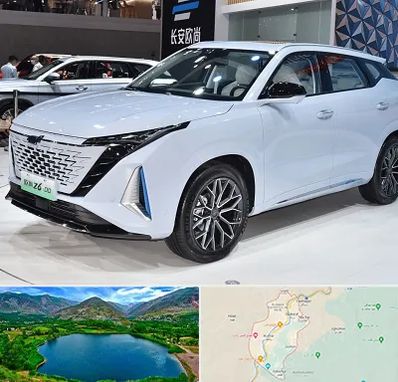 نمایشگاه ماشین چینی در رودبار