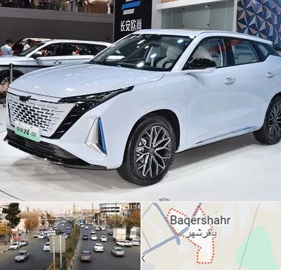 نمایشگاه ماشین چینی در باقرشهر