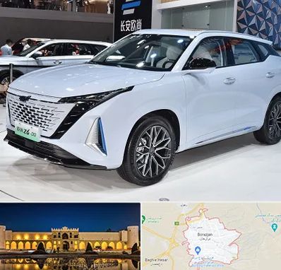 نمایشگاه ماشین چینی در برازجان