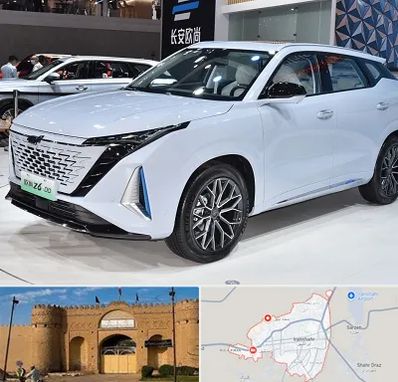 نمایشگاه ماشین چینی در ایرانشهر