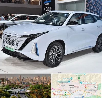 نمایشگاه ماشین چینی در منطقه 1 تهران 