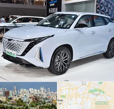 نمایشگاه ماشین چینی در شرق تهران 