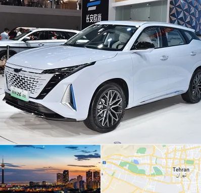 نمایشگاه ماشین چینی در غرب تهران 