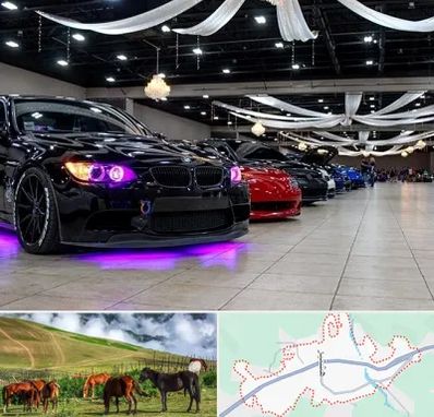 نمایشگاه ماشین خارجی در تالش