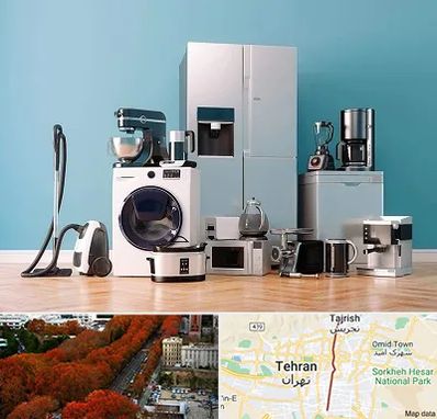 فروشگاه لوازم خانگی در ولیعصر 