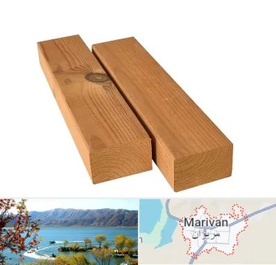 فروش چوب ترمو در مریوان