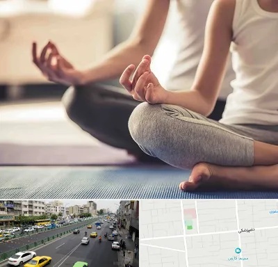 کلاس مدیتیشن در خیابان دامپزشکی