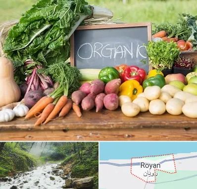 فروشگاه محصولات ارگانیک در رویان