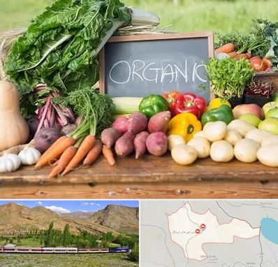 فروشگاه محصولات ارگانیک در خاش