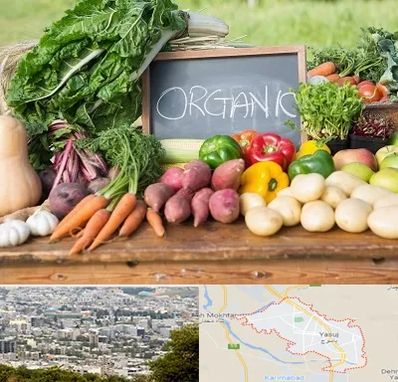 فروشگاه محصولات ارگانیک در یاسوج