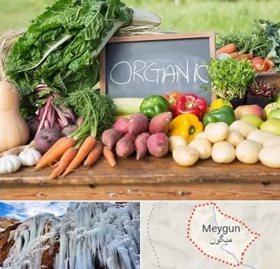 فروشگاه محصولات ارگانیک در میگون