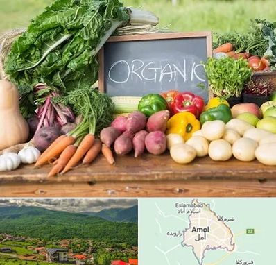 فروشگاه محصولات ارگانیک در آمل