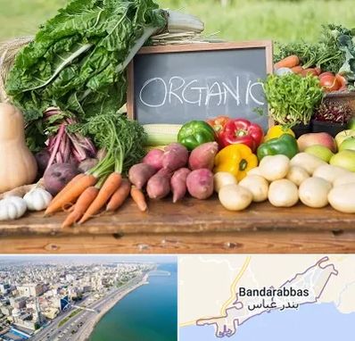 فروشگاه محصولات ارگانیک در بندرعباس