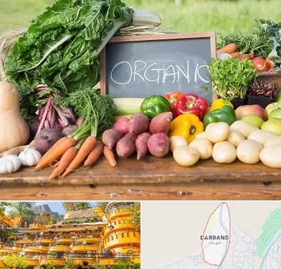 فروشگاه محصولات ارگانیک در دربند