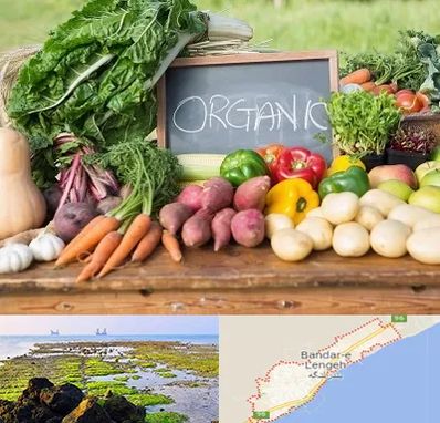فروشگاه محصولات ارگانیک در بندرلنگه