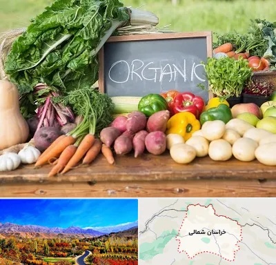 فروشگاه محصولات ارگانیک در خراسان شمالی