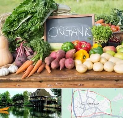 فروشگاه محصولات ارگانیک در صومعه سرا