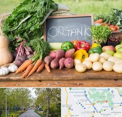 فروشگاه محصولات ارگانیک در قدوسی غربی شیراز