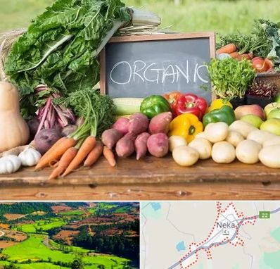 فروشگاه محصولات ارگانیک در نکا