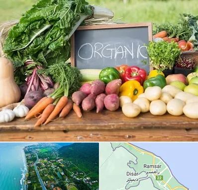 فروشگاه محصولات ارگانیک در رامسر