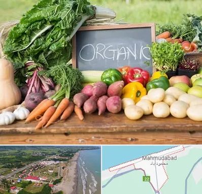 فروشگاه محصولات ارگانیک در محمودآباد