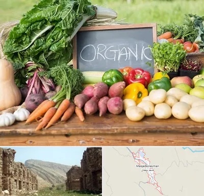 فروشگاه محصولات ارگانیک در مسجد سلیمان