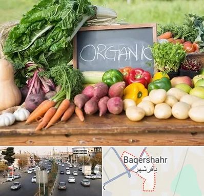 فروشگاه محصولات ارگانیک در باقرشهر