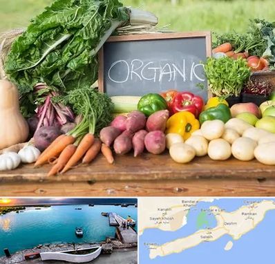 فروشگاه محصولات ارگانیک در قشم