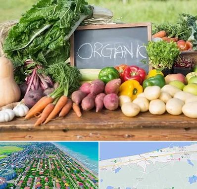 فروشگاه محصولات ارگانیک در فریدونکنار